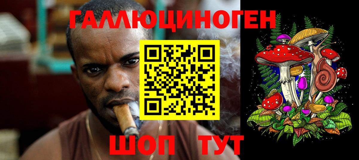 Галлюциногенные грибы мицелий Богданович