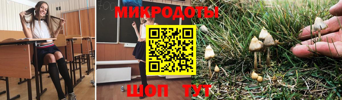 LSD-25 Богданович