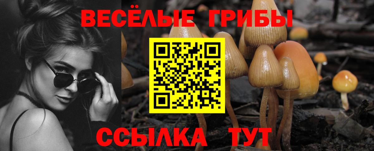 Псилоцибиновые грибы MAGIC MUSHROOMS  Галлюциногенные грибы мицелий  Вход с VPN  Богданович 