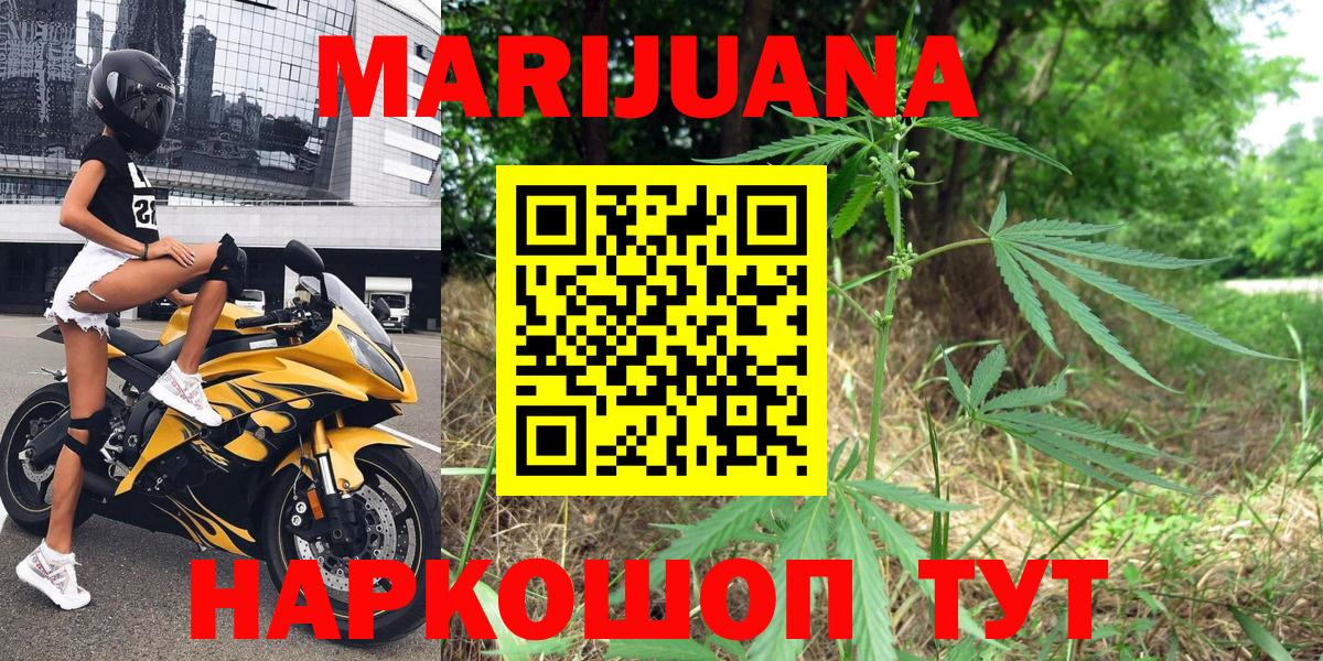 Бошки Шишки VHQ  Вход с VPN  Бошки Шишки сатива  Богданович  Канабис OG Kush  Бошки Шишки тримм 